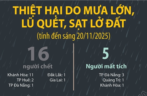Thiệt hại do mưa lớn, lũ quét, sạt lở đất (tính đến sáng 20/11/2025)