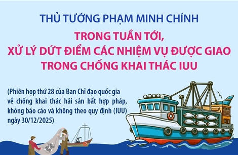 Trong tuần tới, xử lý dứt điểm các nhiệm vụ được giao trong chống khai thác IUU
