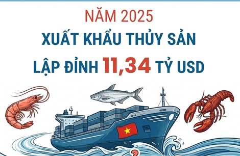 Năm 2025, xuất khẩu thủy sản lập đỉnh 11,34 tỷ USD