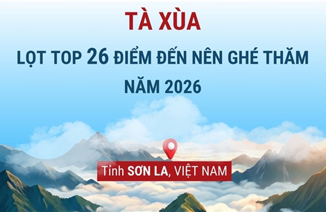 Thiên đường mây Tà Xùa lọt top 26 điểm đến nên ghé thăm vào năm 2026