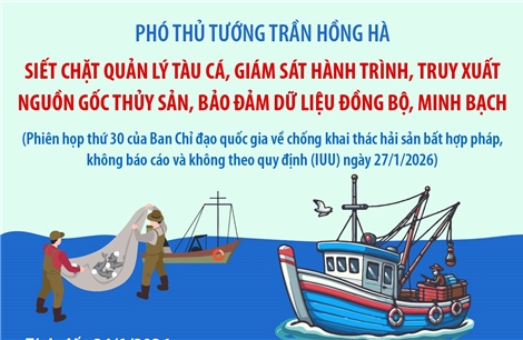 Phiên họp thứ 30 của Ban Chỉ đạo Quốc gia về chống khai thác hải sản bất hợp pháp