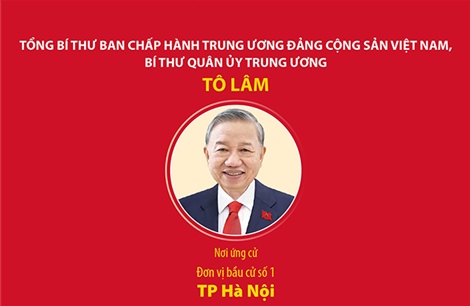 Các đồng chí lãnh đạo cấp cao ứng cử đại biểu Quốc hội khóa XVI 