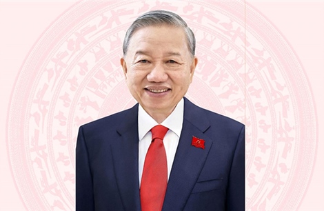 Tổng Bí thư, Chủ tịch nước Tô Lâm