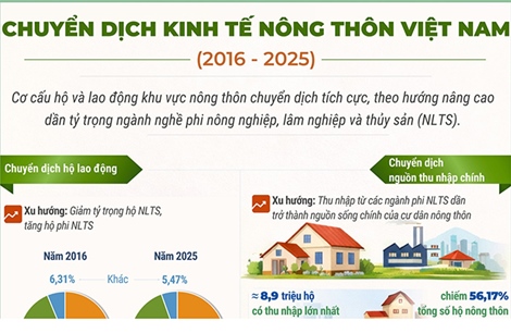 Chuyển dịch kinh tế nông thôn Việt Nam giai đoạn 2016-2025