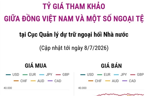 Tỷ giá tham khảo giữa đồng Việt Nam và một số ngoại tệ ngày 8/7/2026