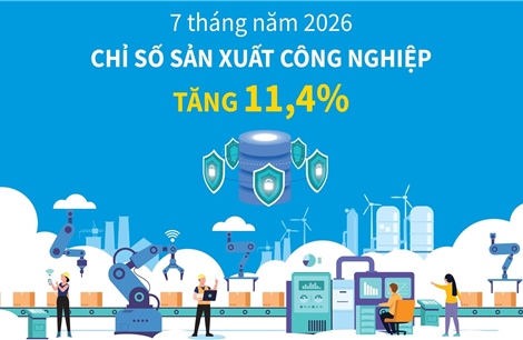 7 tháng năm 2026: Chỉ số sản xuất công nghiệp tăng 11,4%