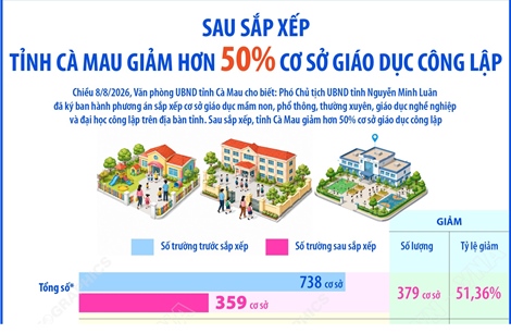 Sau sắp xếp, tỉnh Cà Mau giảm hơn 50% cơ sở giáo dục công lập