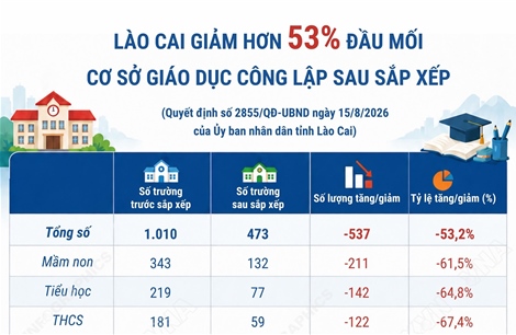 Lào Cai giảm hơn 53% đầu mối cơ sở giáo dục công lập sau sắp xếp