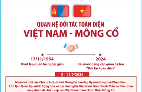 Quan hệ Đối tác toàn diện Việt Nam - Mông Cổ