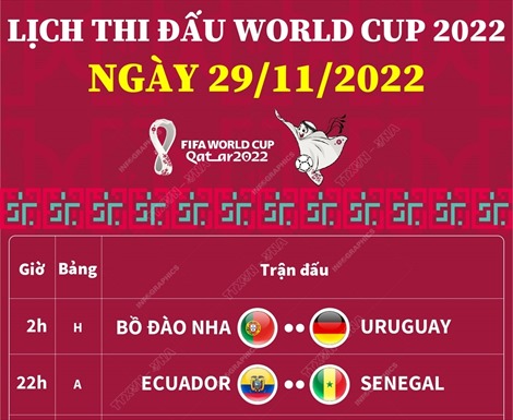 Lịch thi đấu World Cup 2022 ngày 29/11/2022