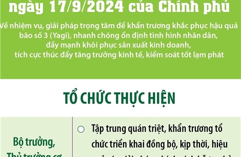 Nghị quyết số 143/NQ-CP ngày 17/9/2024 của Chính phủ: Tổ chức thực hiện