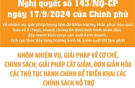 Nghị quyết số 143/NQ-CP: Nhóm nhiệm vụ về cơ chế, giải pháp đơn giản hóa thủ tục hành chính 