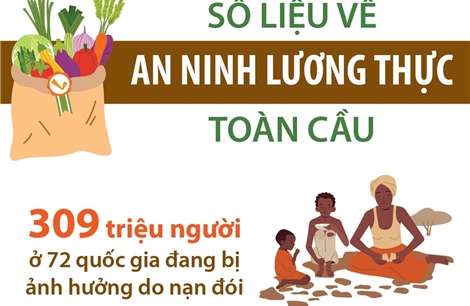 Số liệu về an ninh lương thực toàn cầu