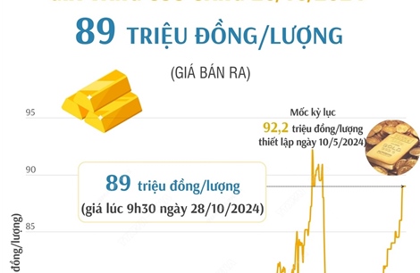 Vàng SJC sáng 28/10/2024 có giá 89 triệu đồng/lượng