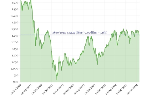 Phiên 28/10/2024: VN-Index tăng hơn 2 điểm