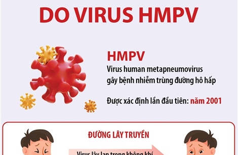 Thông tin về bệnh đường hô hấp do virus HMPV