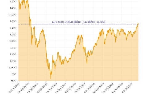 Phiên 14/3/2025: VN-Index giảm nhẹ 0,12 điểm