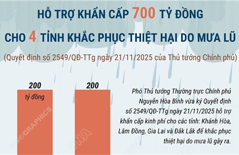 Hỗ trợ khẩn cấp 700 tỷ đồng khắc phục thiệt hại do mưa lũ
