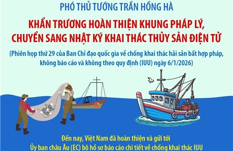 Khẩn trương hoàn thiện khung pháp lý, chuyển sang Nhật ký khai thác thủy sản điện tử