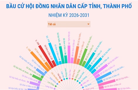 Đơn vị bầu cử và đại biểu HĐND cấp tỉnh, TP nhiệm kỳ 2026-2031