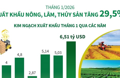 Tháng 1/2026: Xuất khẩu nông, lâm, thủy sản tăng 29,5%