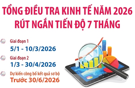 Kế hoạch Tổng điều tra kinh tế năm 2026 rút ngắn tiến độ 7 tháng