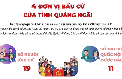 4 đơn vị bầu cử của tỉnh Quảng Ngãi