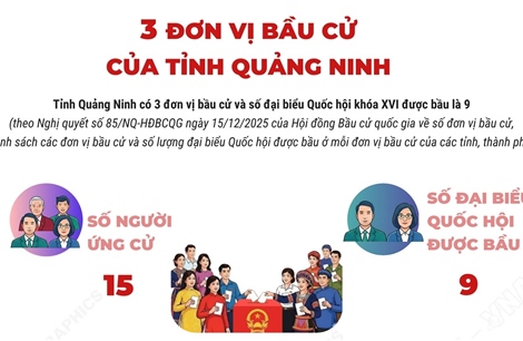 3 đơn vị bầu cử của tỉnh Quảng Ninh