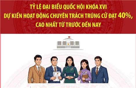 Tỷ lệ đại biểu Quốc hội khóa XVI dự kiến hoạt động chuyên trách trúng cử đạt 40%