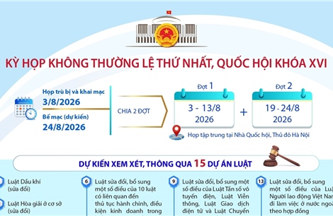 Kỳ họp không thường lệ thứ Nhất, Quốc hội khóa XVI