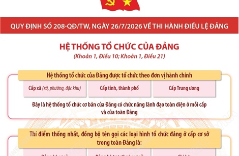 Quy định số 208-QĐ/TW: Hệ thống tổ chức của Đảng
