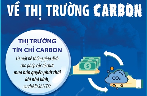 Những điều cần biết về thị trường carbon   