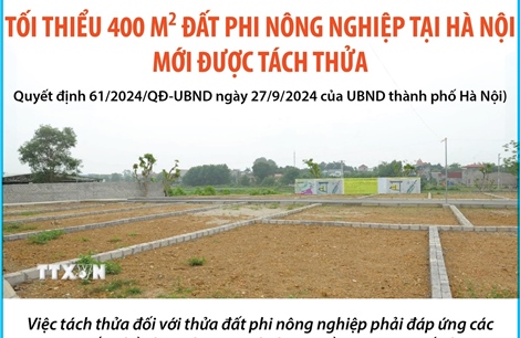 Từ 7/10/2024: Tối thiểu 400 m2 đất phi nông nghiệp tại Hà Nội mới được tách thửa