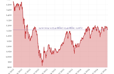 Phiên 24/10: VN-Index giảm hơn 13 điểm