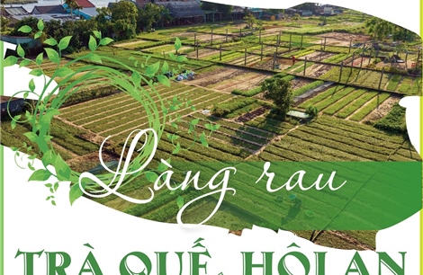 Làng rau Trà Quế, Hội An - &#39;Làng du lịch tốt nhất thế giới&#39; năm 2024