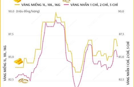 Giá vàng SJC sáng 13/12/2024