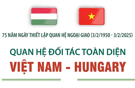 Quan hệ Đối tác toàn diện Việt Nam - Hungary