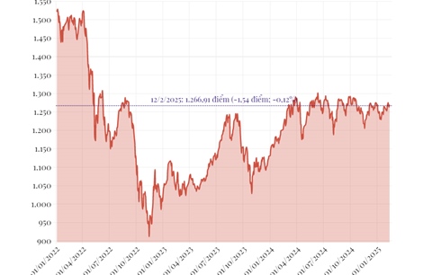 Phiên 12/2/2025: VN-Index giảm gần 2 điểm