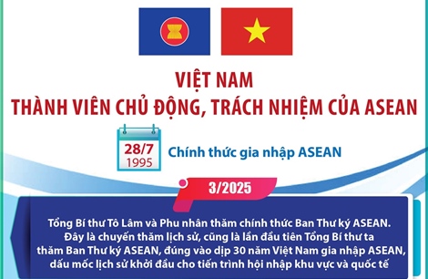 Việt Nam là thành viên chủ động, trách nhiệm của ASEAN