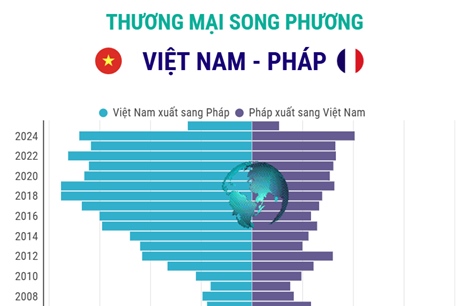 Thương mại song phương Việt Nam - Pháp