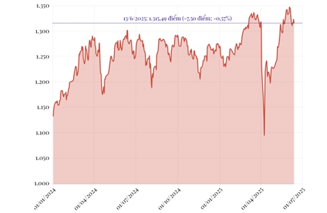 Phiên 13/6/2025: VN-Index giảm 7,5 điểm