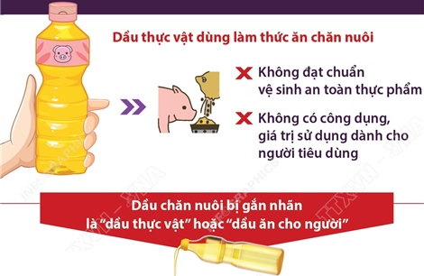 Chế biến dầu chăn nuôi thành dầu ăn cho người: Vi phạm nghiêm trọng quy định an toàn thực phẩm