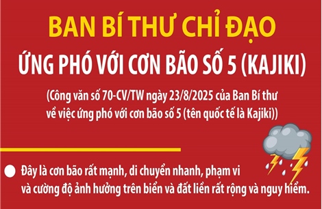Ban Bí thư chỉ đạo ứng phó với cơn bão số 5 (Kajiki)