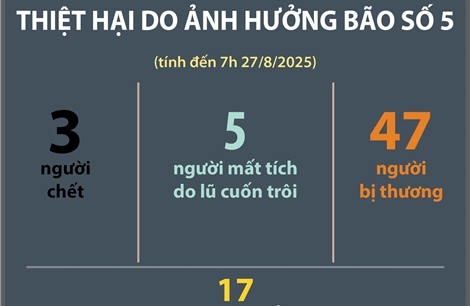 Thiệt hại do ảnh hưởng bão số 5