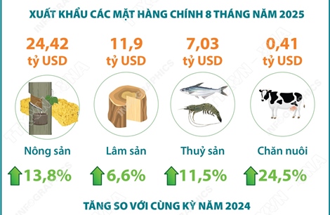 8 tháng năm 2025: Xuất khẩu nông, lâm, thủy sản tăng 12%