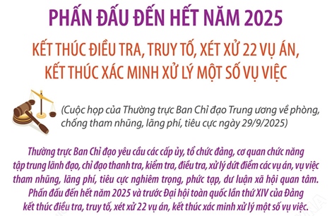 Kết thúc điều tra, truy tố, xét xử 22 vụ án, kết thúc xác minh xử lý một số vụ việc