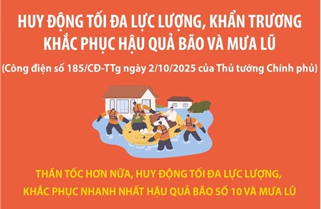 Huy động tối đa lực lượng, khẩn trương khắc phục hậu quả bão và mưa lũ