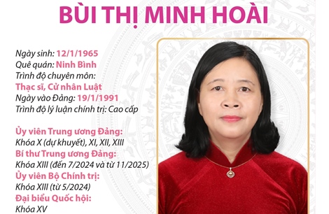Ủy viên Bộ Chính trị, Bí thư Trung ương Đảng, Bí thư Đảng ủy Mặt trận Tổ quốc, các đoàn thể Trung ương Bùi Thị Minh Hoài
