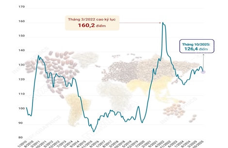 Chỉ số giá lương thực thế giới tiếp tục giảm trong tháng 10/2025