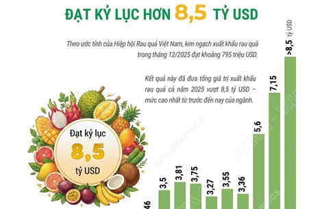 Xuất khẩu rau quả 'lội ngược dòng' ấn tượng, đạt kỷ lục 8,5 tỷ USD trong năm 2025